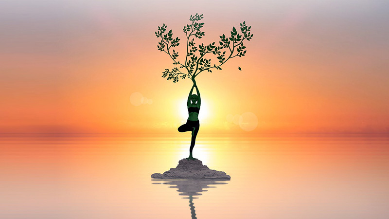 Người thoái hóa khớp gối có nên đi bộ và tập Yoga?
